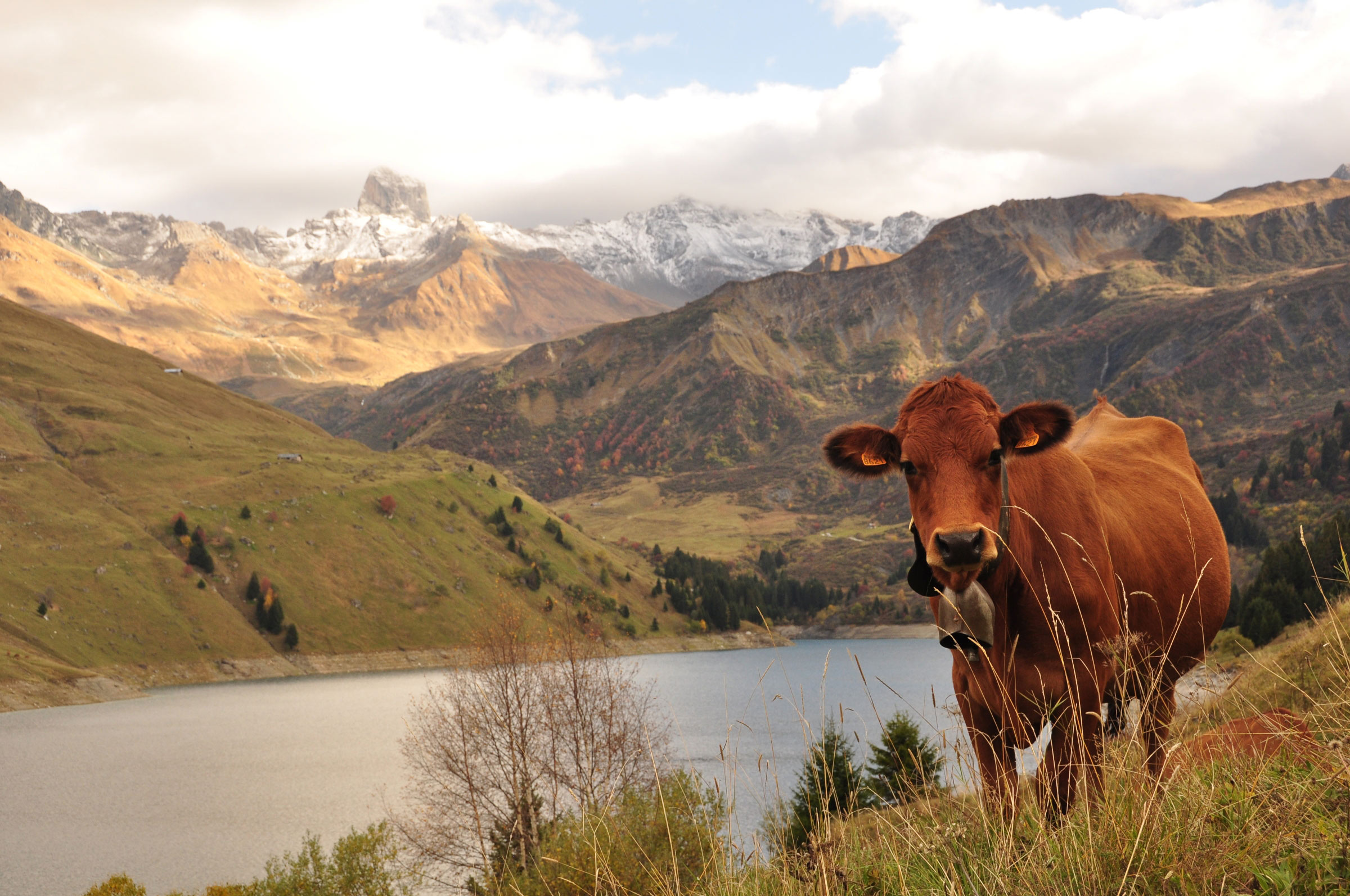 Lac de Roselend, Savoie